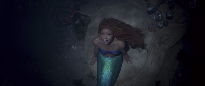 D23 The Little Mermaid