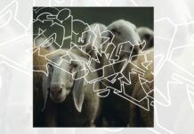 La Cover di ZARATHUSTRA STYLE (Sony)